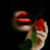 user07488484