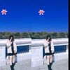 anin_dieta
