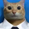 ninerztv