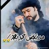 hussainizeshanansari
