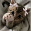 marie_k107