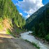 nayab85614895