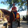 decastro_casupanan
