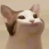 hello_kup
