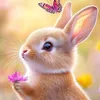 luckylegamli.com