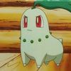 chikorita.7w7