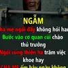 duy408
