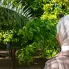 zainab.te