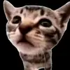 aokwm9mmnm40mike