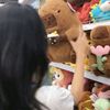 cinta_984