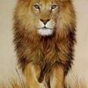 leoking11026