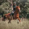 Anna Maria Wojtkowska🐴