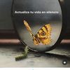 carolinahernandez28.04