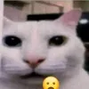 nslegma