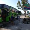 tambah446