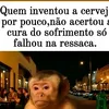 shandaoqrupesado