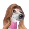 neondani23