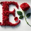ebtisam197377