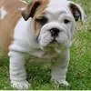 john_coul4567
