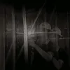nxxshts