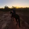 murilo.0014