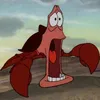 sclarnabean