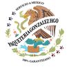 paqueteriagonzalezhgo