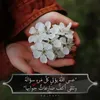 shamssaj