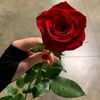 user01365726