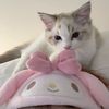 lilynolove8