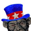 unclesamsmonkey