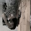augustyea_