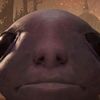 bubbadunger