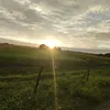 ramgenndacquel