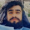 Dinoo_3422