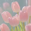 urlove.daphnyyy_