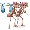peanut_2777