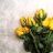 looly_3030
