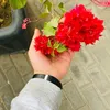 mmnnttsz
