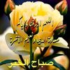 mostafahelmy694