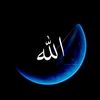 noor627089