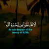 usermql5npdhkq