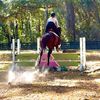eventing.n.things