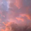 _sarahs_world