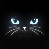 willaynx