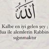 ahmet636336