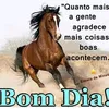 dy8d1xu92rdbjoao