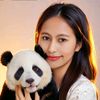 lilis480