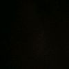 prince_nikko_nrcs
