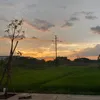 nguoiyem